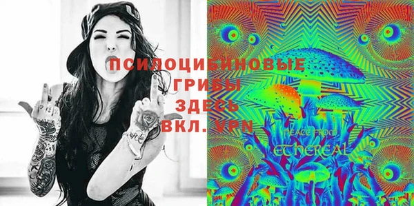 a pvp Няндома