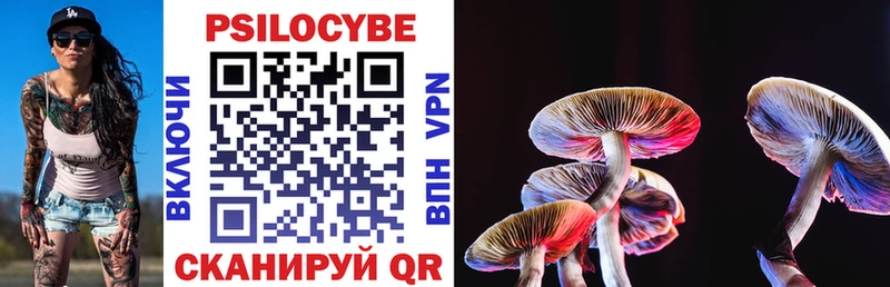 купить   Лебедянь  Галлюциногенные грибы Psilocybine cubensis 